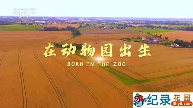 国家地理动物哺育纪录片《在动物园出生 Born in the Zoo》全1集