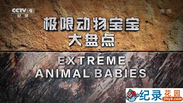 国家地理动物勇士纪录片《极限动物宝宝大盘点 Extreme Animal Babies》全6集