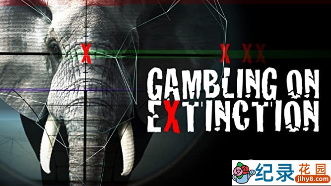 PTS野生动物保护纪录片《贪婪的杀戮 Gambling on Extinction》全1集