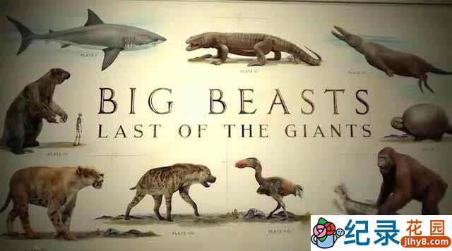 央视野生动物保护纪录片《终极巨兽档案 Big Beasts: Last of the Giants》全3集