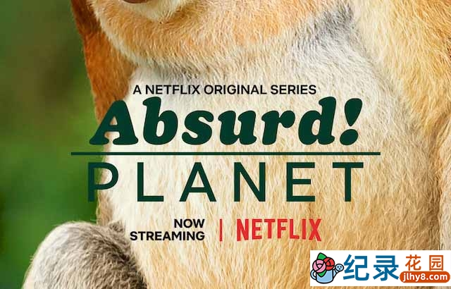 Netflix野生动物纪录片《怪诞星球 Absurd Planet》全12集