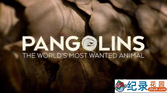 动物保护纪录片《穿山甲：被捕杀最多的动物 Pangolins: The World’s Most Wanted Animal》全1集