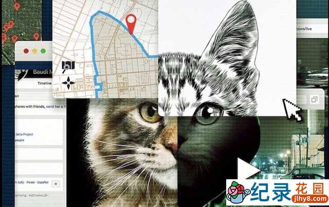 Netflix动物保护纪录片《别惹猫咪：追捕虐猫者》全3集