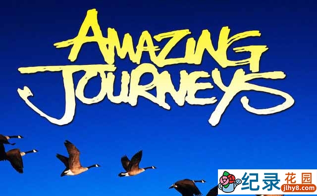 IMAX动物大迁徙纪录片《惊奇之旅 Amazing Journeys》全1集