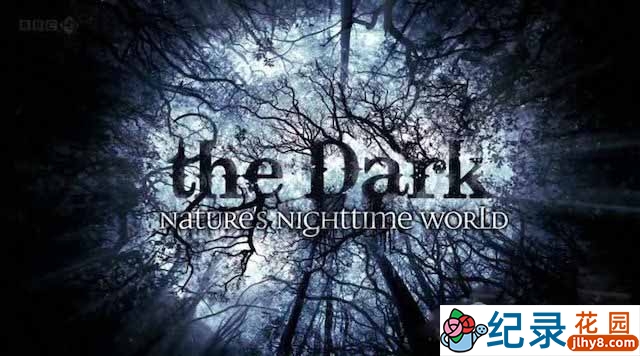 央视夜行动物纪录片《黑暗中的自然界 The Dark: Nature’s Nighttime World》全3集