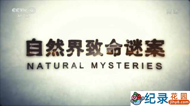 央视动物行为纪录片《自然界致命谜案 Natural Mysteries》全4集