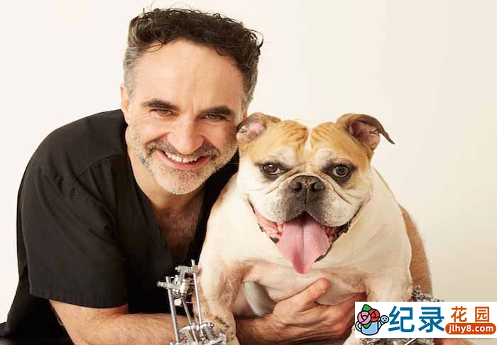 BBC动物保护纪录片《超级兽医 The Supervet》全3集