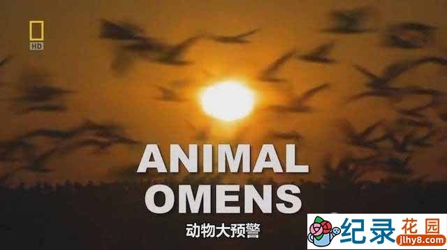 国家地理动物地震征兆纪录片《动物大预警 Animal Omens》全1集