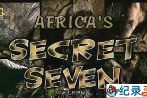 国家地理野生动物纪录片《非洲七种神秘客 Africa’s Secret Seven》全1集 720P/1080i高清纪录片资源百度云盘下载