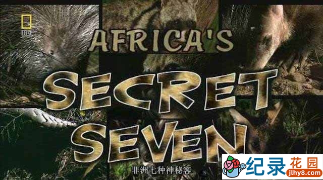 国家地理野生动物纪录片《非洲七种神秘客 Africa’s Secret Seven》全1集