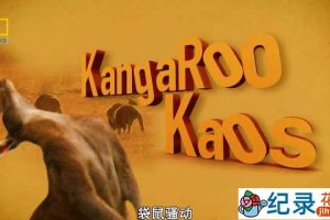 国家地理动物保护纪录片《袋鼠骚动 Kangaroo Kaos》全1集 720P/1080i纪录片资源百度云盘下载