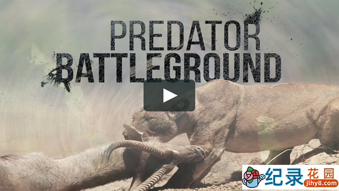 国家地理野生动物纪录片《掠食动物战场 Predator Battleground》全1集