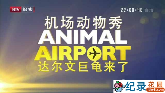 动物托运纪录片《机场动物秀 Animal Airport》全12集