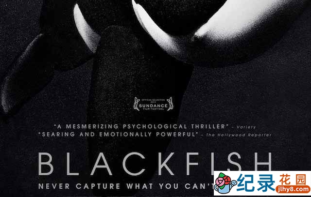 海洋动物保护纪录片《黑鲸 Blackfish》全1集