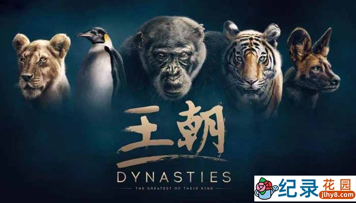 BBC野生动物纪录片《王朝 Dynasties》全5集