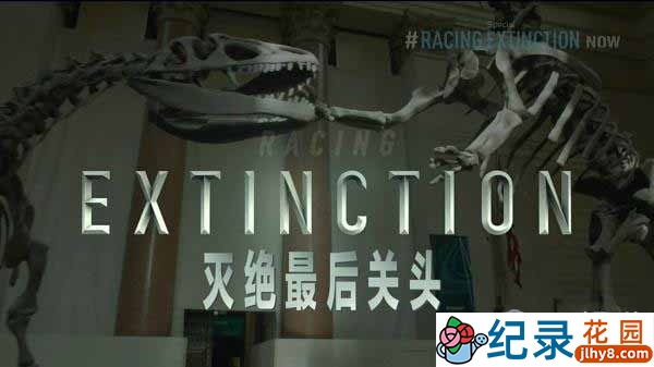 探索频道动物保护纪录片《灭绝最后关头 Racing Extinction》全1集