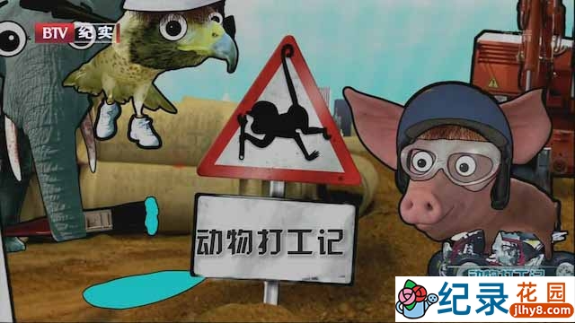 动物趣闻纪录片《动物打工记 Animals at Work》全2季