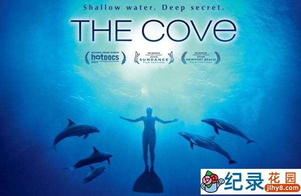 海洋动物保护纪录片《海豚湾 The Cove》全1集 720P/1080i高清纪录片百度云插图