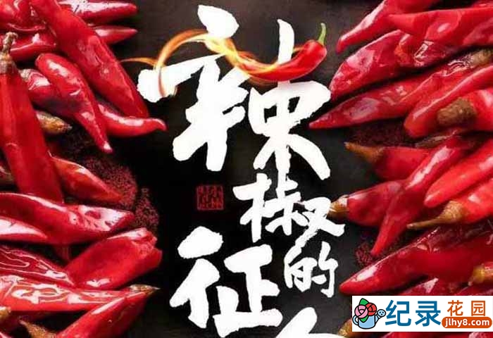 央视美食文化纪录片《辣椒的征途》全6集 1080P纪录片资源百度云盘下载插图