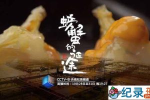 央视生活美食纪录片《螃蟹的征途》全4集 720P/1080i高清纪录片资源百度云盘下载