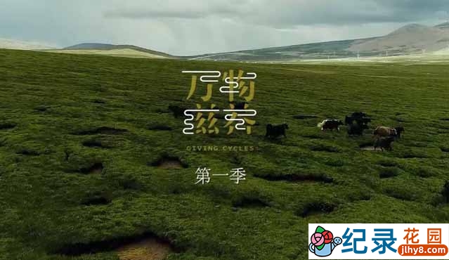 健康美食纪录片《万物滋养 Giving Cycles》第1季 720P/1080i高清纪录片资源百度云盘下载插图