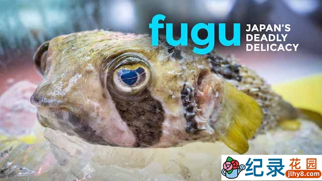 美食纪录片《河豚：一种渴望的味道 FUGU:A Taste to Die For》全1集 720P/1080i高清纪录片资源百度云盘下载插图