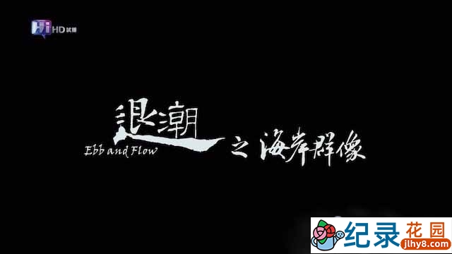 PTS人与自然纪录片《退潮之海岸群像 Ebb and Flow – Special》全1集中字 1080P纪录片资源百度云盘下载插图