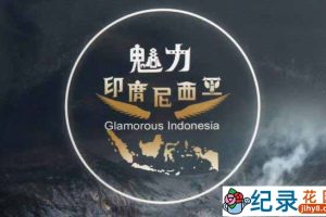 CCTV央视自然风光纪录片《魅力印度尼西亚 Glamorous Indonesia》全4集 720P/1080i高清纪录片百度云