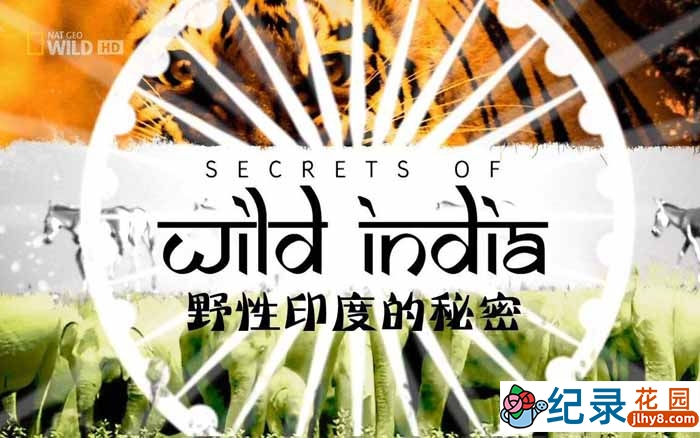 国家地理自然生态纪录片《野性印度的秘密 Secrets of Wild India 》全3集 720P/1080P高清纪录片百度云插图