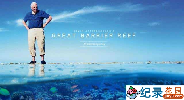 BBC生态旅行纪录片《与大卫·爱登堡畅游大堡礁 Great Barrier Reef with David Attenborough》全3集 720P/1080i高清纪录片资源百度云盘下载插图