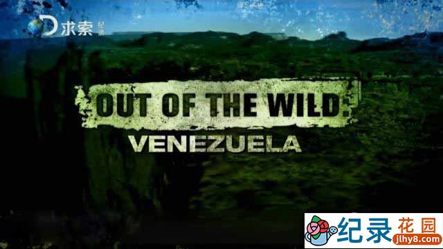 探索频道荒野求生纪录片《委内瑞拉求生实验 Out Of The Wild Venezuela》全8集 720P/1080i高清纪录片百度云插图