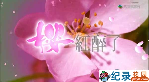 TVB旅游纪录片《樱红醉了 Sakura Memories》全7集