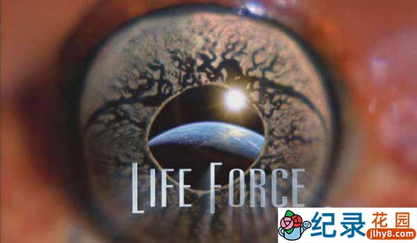 NHK自然生态纪录片《生命的力量 Life Force》第1季