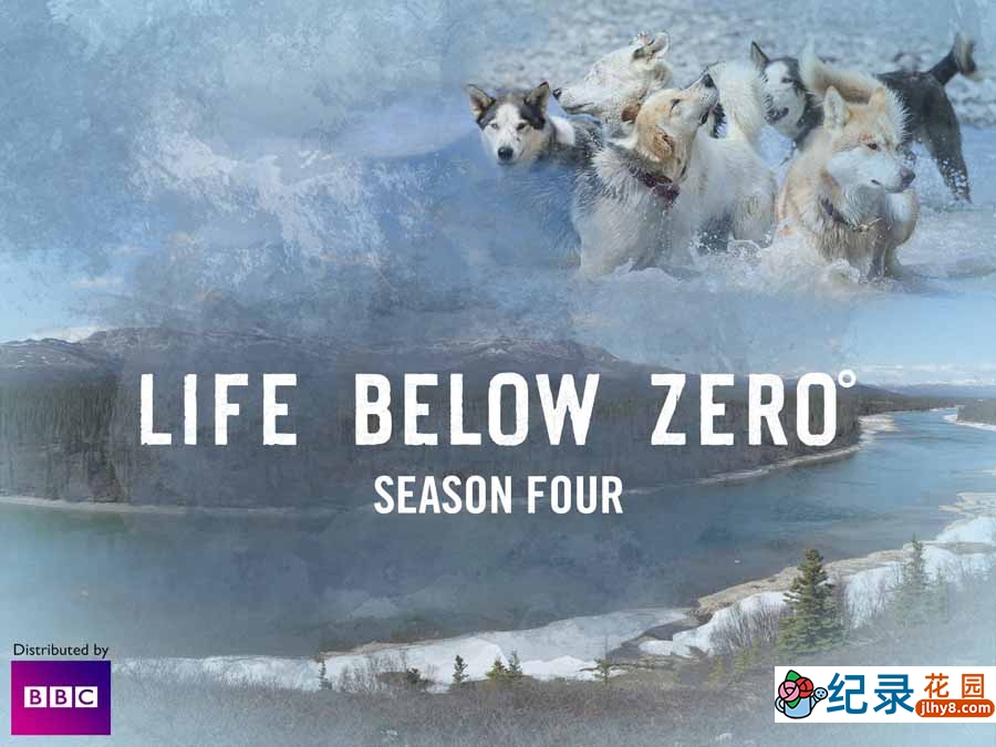 冰原生存挑战纪录片《零度以下的生活 Life Below Zero》第4季