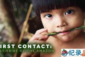 Netflix人文探索纪录片《首次接触：失落的亚马逊部落 First Contact: Lost Tribe of the Amazon》全1集 720P/1080i高清纪录片资源百度云盘下载