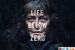冰原生存挑战纪录片《零度以下的生活 Life Below Zero》第9季全11集中字 纪录片解说素材百度云盘下载 720P/MKV/14G