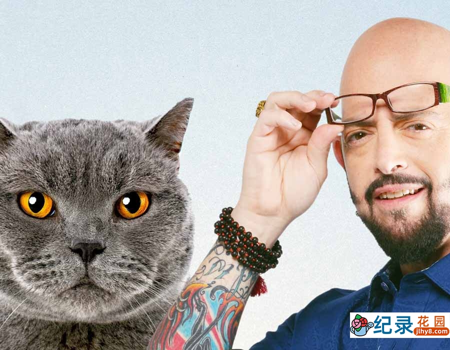 管教恶猫纪录片《金牌训猫师》第1季