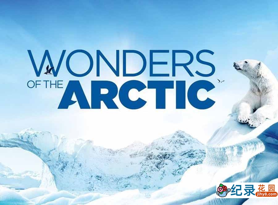 极地自然生态纪录片《北极奇观 Wonders of the Arctic》全1集