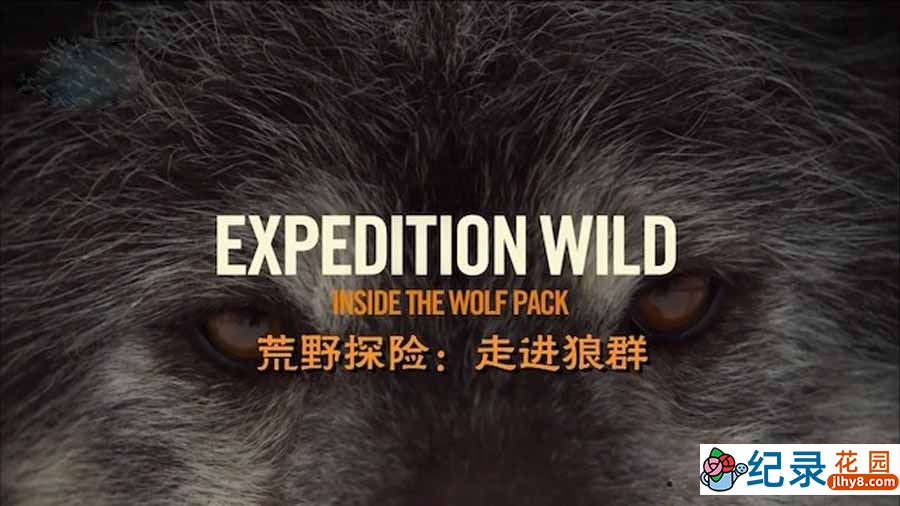 自然生态纪录片《荒野探险之走进狼群 Expedition Wild:Inside The Wolf Pack》全1集