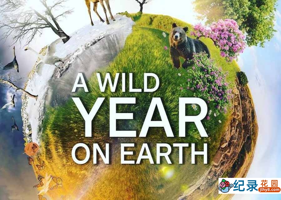 BBC自然生态纪录片《狂野地球 A Wild Year on Earth》全6集