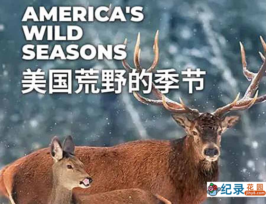 自然生态纪录片《美国荒野的季节 America\\\\\\\'s Wild Seasons》全4集