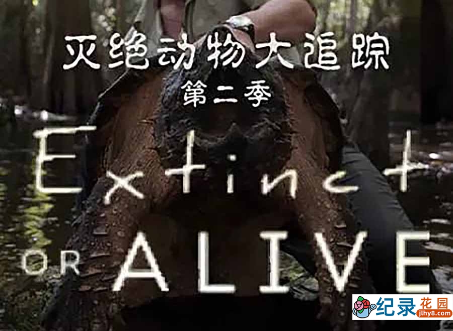 灭绝动物大追踪纪录片《寻找灭绝的生物》第2季