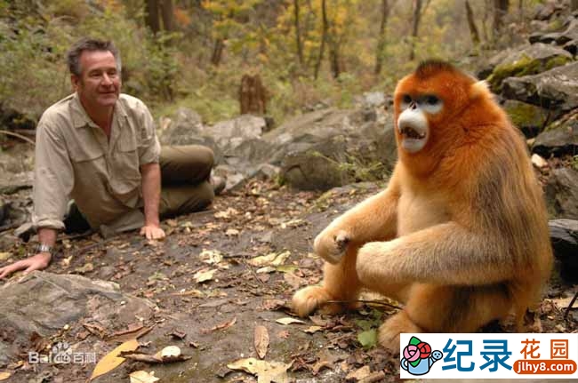 探索频道自然历史纪录片《未发现的中国 Untamed China With Nigel Marven》全6集 720P/1080i高清纪录片百度云插图3