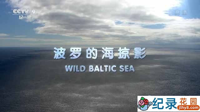 自然生态纪录片《波罗的海掠影 Wild Baltic Sea》全3集中字 TS/蓝光高清纪录片资源百度云盘下载插图