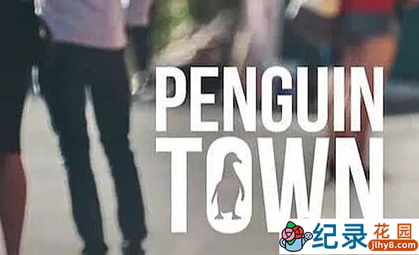 Netflix自然生态纪录片《企鹅小镇 Penguin Town》全8集中字 720P/1080i高清纪录片资源百度云盘下载插图