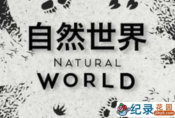 BBC自然生物纪录片《自然世界 Natural World》合集原版 720P/1080i高清纪录片资源百度云盘下载插图