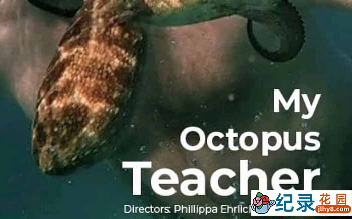 自然生态纪录片《我的章鱼老师 My Octopus Teacher》全1集 720P/1080i高清纪录片资源百度云盘下载插图