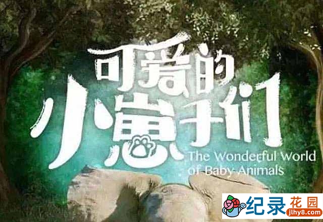 BBC自然生物纪录片《可爱的小崽子们 The Wonderful World of Baby Animals》全6集 720P/1080i高清纪录片资源百度云盘下载插图