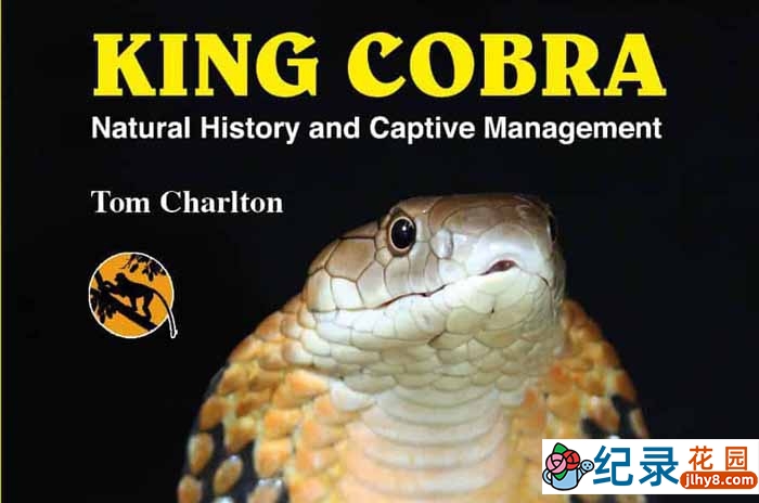 国家地理自然生物纪录片《眼镜王蛇 King Cobra》全1集 720P/1080i高清纪录片资源百度云盘下载插图