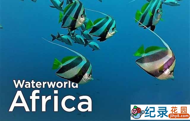 自然生态纪录片《非洲水世界 Waterworld Africa》全8集 720P/1080i高清纪录片资源百度云盘下载插图